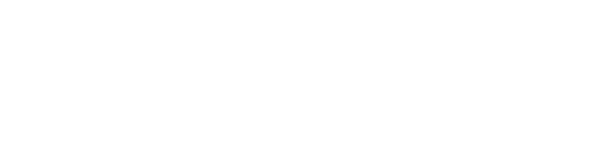 Boldln Networks